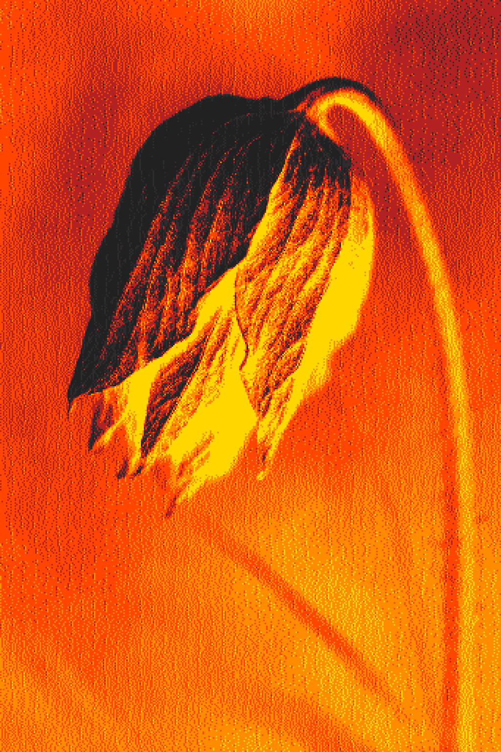 Withering form — fractal decay