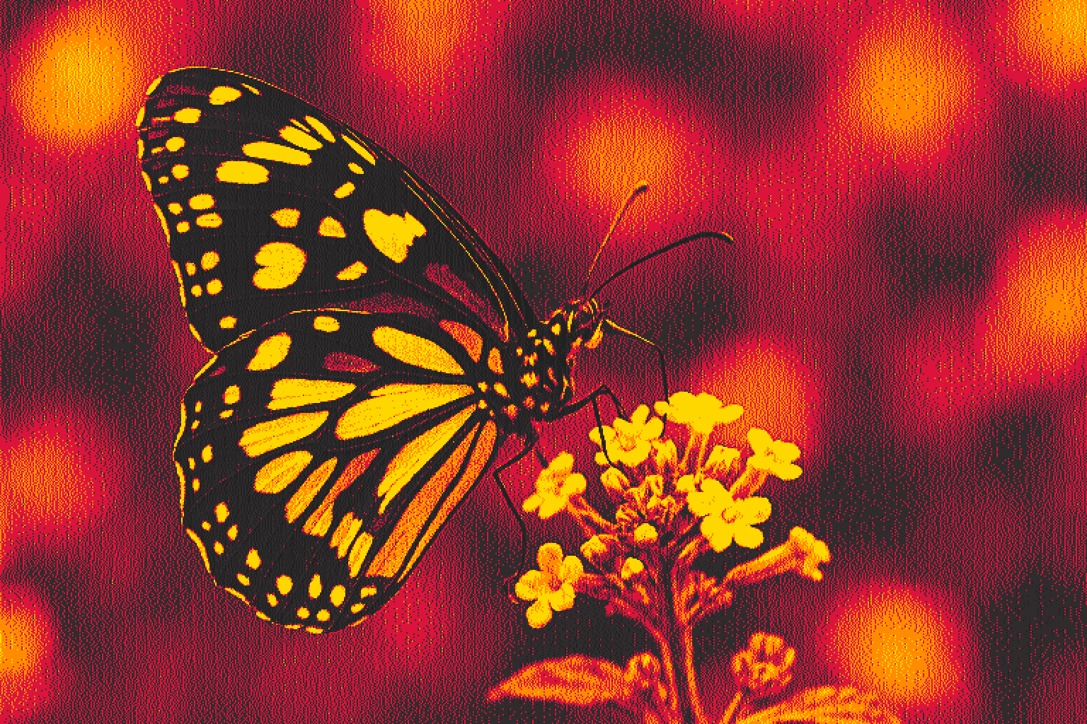 Fluorescent wings — vibrant bloom